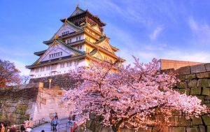 Đón năm mới tại miền Đông Bắc Nhật Bản: Tokyo - Sendai - Miyagi - Nikko -  Ibaraki - Fukushima