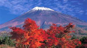 Du lịch Nhật Bản mùa lá đỏ: TOKYO - HAKONE - NÚI PHÚ SỸ
