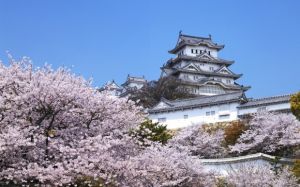 Du lịch Nhật Bản đón năm mới 2017: NARA - KYOTO - OSAKA - UNIVERSAL STUDIOS - KOBE