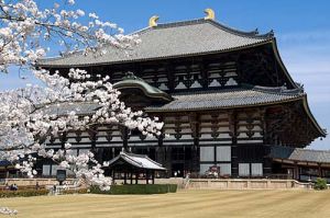 Du lịch Nhật Bản đón năm mới 2017: NARA - TOKUSHIMA - HYOGO -  KOBE – KYOTO - OSAKA