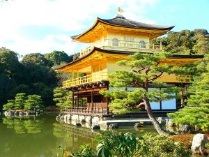 Hành trình tham quan Kyoto 1 ngày (Fushimi Inari, Kiyomizudera, Kinkakuji)