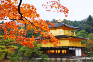 Du lịch Nhật Bản mùa lá đỏ: NAGOYA – KYOTO – OSAKA – PHÚ SỸ - TOKYO
