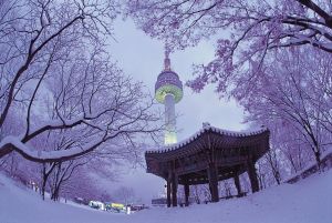 Du lịch Hàn Quốc: Seoul - Nami - Everland - Namsan Tower