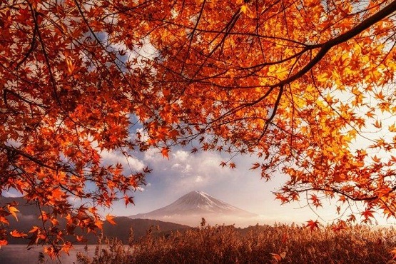 293966fallvolcanomount_fujijapanorangeleavesmountainmistlakeshrubsnaturelandscapesunlight748x499