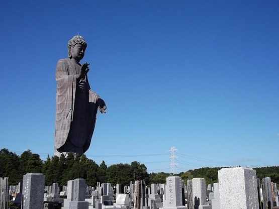 ibarakiushikudaibutsu13526