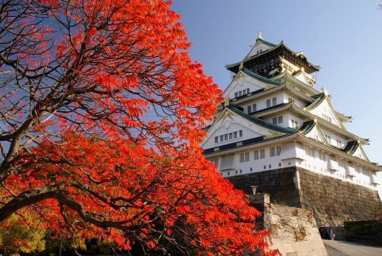 red_leaf_osaka
