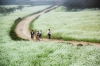 ha-noi-moc-chau-ha-noi - ảnh nhỏ 7
