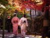 ha-noi-tokyo-kawakuchi-mt-fuji - ảnh nhỏ  1