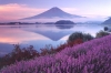 ha-noi-tokyo-kawakuchi-mt-fuji - ảnh nhỏ 3