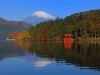 ha-noi-tokyo-kawakuchi-mt-fuji - ảnh nhỏ 5
