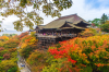 chao-thu-nhat-ban-osaka-kyoto-shirawakago - ảnh nhỏ 10