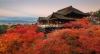 chao-thu-nhat-ban-osaka-kyoto-shirawakago - ảnh nhỏ 2