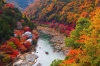 chao-thu-nhat-ban-osaka-kyoto-shirawakago - ảnh nhỏ 4
