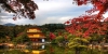 chao-thu-nhat-ban-osaka-kyoto-shirawakago - ảnh nhỏ 5