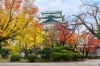 chao-thu-nhat-ban-osaka-kyoto-shirawakago - ảnh nhỏ 9