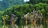 ha-noi-sai-gon-can-tho-my-tho-ben-tre-sai-gon-ha-noi - ảnh nhỏ 6