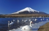 tottori-thien-duong-cua-hoang-de-tottoriokayamahawai-onsen-shimane - ảnh nhỏ 5