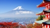 tottori-thien-duong-cua-hoang-de-tottoriokayamahawai-onsen-shimane - ảnh nhỏ 9