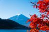 don-thu-cung-nui-phu-si-kagoshima-tokyo - ảnh nhỏ  1