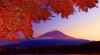 don-thu-cung-nui-phu-si-kagoshima-tokyo - ảnh nhỏ 2
