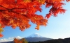 don-thu-cung-nui-phu-si-kagoshima-tokyo - ảnh nhỏ 3