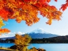 don-thu-cung-nui-phu-si-kagoshima-tokyo - ảnh nhỏ 4