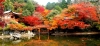 don-thu-cung-nui-phu-si-kagoshima-tokyo - ảnh nhỏ 5