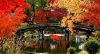 don-thu-cung-nui-phu-si-kagoshima-tokyo - ảnh nhỏ 6