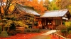 haneda-hakone-gotemba-ngu-ho-phu-si-tokyo-nikko-odaiba - ảnh nhỏ 7