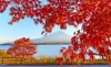 haneda-hakone-gotemba-ngu-ho-phu-si-tokyo-nikko-odaiba - ảnh nhỏ 8