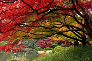 Du lịch Nhật Bản mùa lá đỏ: NAGOYA – KYOTO – OSAKA – PHÚ SỸ - TOKYO