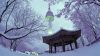 don-giao-thua-tren-su-so-kim-chi-seoul-nami-everland-cung-hoc-lam-kim-chi-mac-ao-hanbok - ảnh nhỏ 4