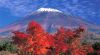 du-lich-nhat-ban-mua-la-do-tokyo-hakone-nui-phu-sy - ảnh nhỏ  1