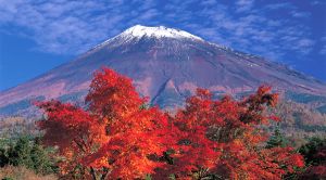 Du lịch Nhật Bản mùa lá đỏ: TOKYO - HAKONE - NÚI PHÚ SỸ