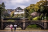 don-tet-duong-tai-nhat-ban-tokyo-phu-si-tokyo-odaira - ảnh nhỏ 3