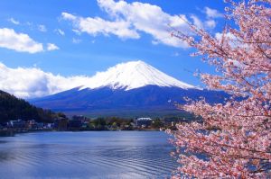 Đón tết dương tại Nhật Bản Tokyo - Phú Sĩ - Tokyo - Odaira