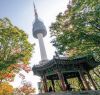 du-lich-han-quoc-seoul-nami-lotte-word-elysian - ảnh nhỏ  1