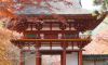 tour-tham-quan-kyoto-nara-kobe-mot-ngay - ảnh nhỏ  1