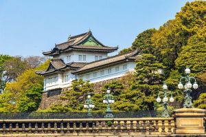 Nửa ngày khám phá Tokyo sôi động - không bao gồm ăn