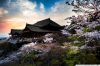 hanh-trinh-toi-xu-so-phu-tang-2018-hcm-kansai-kyoto-osaka-fuji-mount-tokyo-hcm - ảnh nhỏ  1