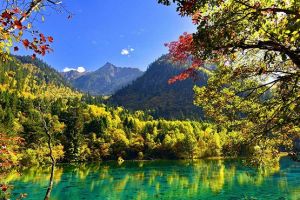 HÀ NỘI – THÀNH ĐÔ - CỬU TRẠI CÂU – HUYỆN MẬU - GIA CÔ SƠN – ĐÔ GIANG YỂN (6N5Đ - 2025//2026)