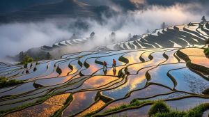 CHÂU HỒNG HÀ – VÂN NAM TRUNG QUỐC (3N2Đ - 2025)
