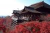 du-lich-nhat-ban-ha-noi-tokyo-kyoto-osaka - ảnh nhỏ  1