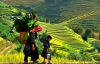 du-lich-sapa-ha-noi-sapa-ha-noi - ảnh nhỏ  1