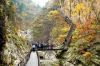 sac-vang-lang-man-jeju-seoul-everland-nami - ảnh nhỏ 3
