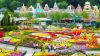 sac-vang-lang-man-jeju-seoul-everland-nami - ảnh nhỏ 5