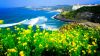sac-vang-lang-man-jeju-seoul-everland-nami - ảnh nhỏ 6