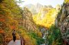 lang-man-seoul-nami-everland-du-thuyen-song-han - ảnh nhỏ  1