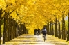 lang-man-seoul-nami-everland-du-thuyen-song-han - ảnh nhỏ 6