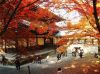 tokyo-fukushima-nikko-ibaraki-fukushima - ảnh nhỏ  1